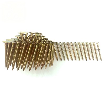 Full Round Head Hot Dip Galvanized Roofing Coil Nails 1.5 to 2.5 Inch Manufacturer
